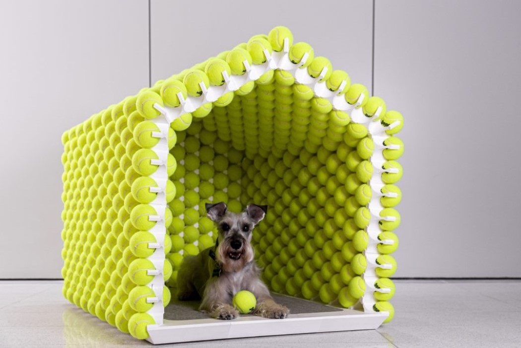 3D printing，Pet house，Fetch House，Tennis，