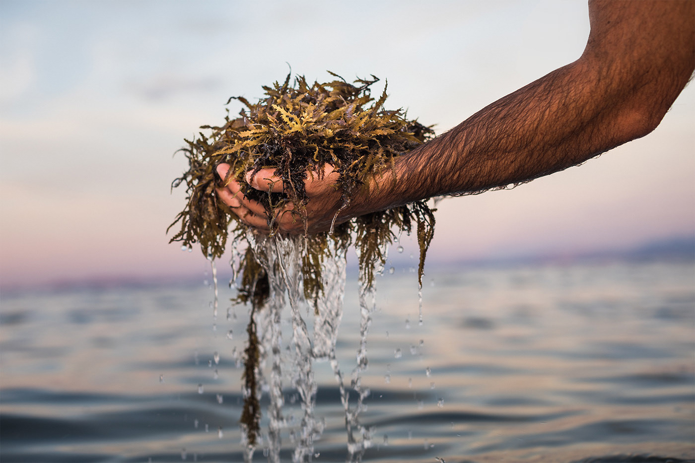 product design，skin care products，Peltan Bros，Brand design，