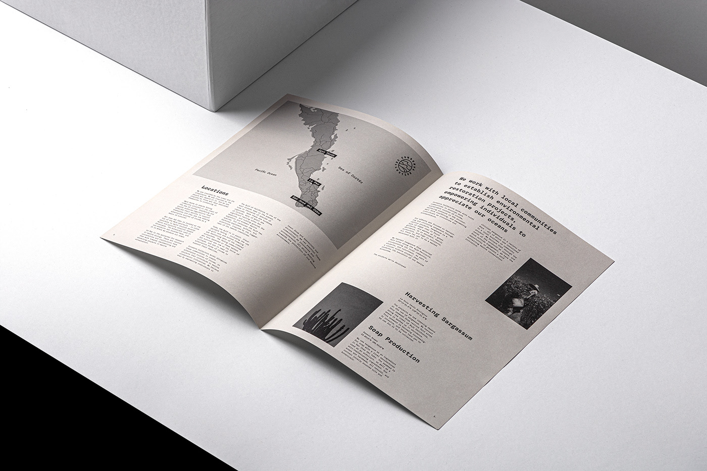 product design，skin care products，Peltan Bros，Brand design，