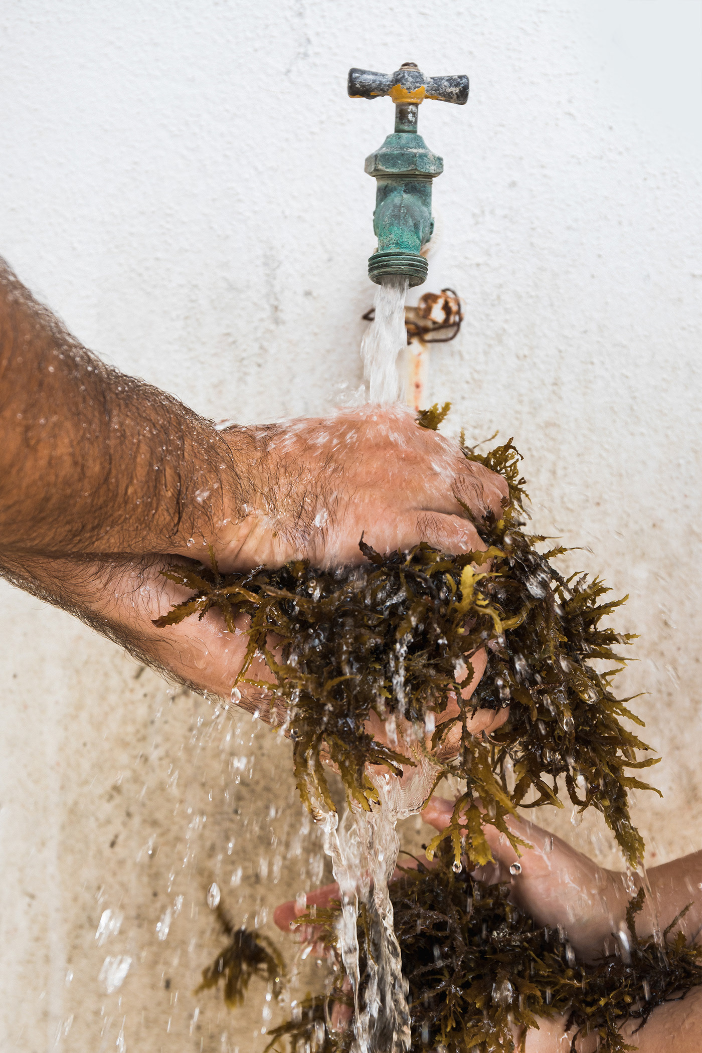 product design，skin care products，Peltan Bros，Brand design，