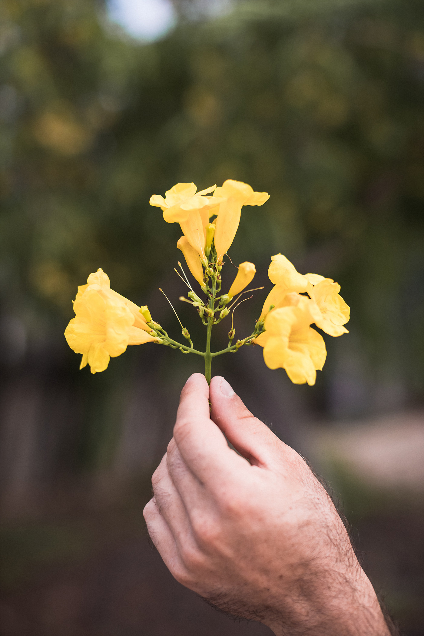 product design，skin care products，Peltan Bros，Brand design，