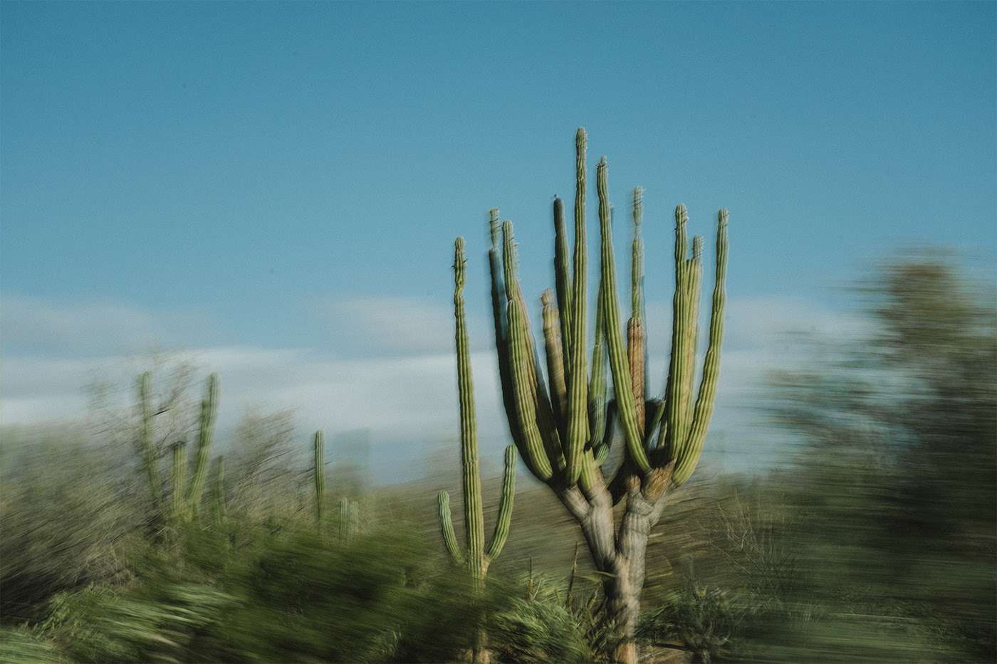 product design，skin care products，Peltan Bros，Brand design，