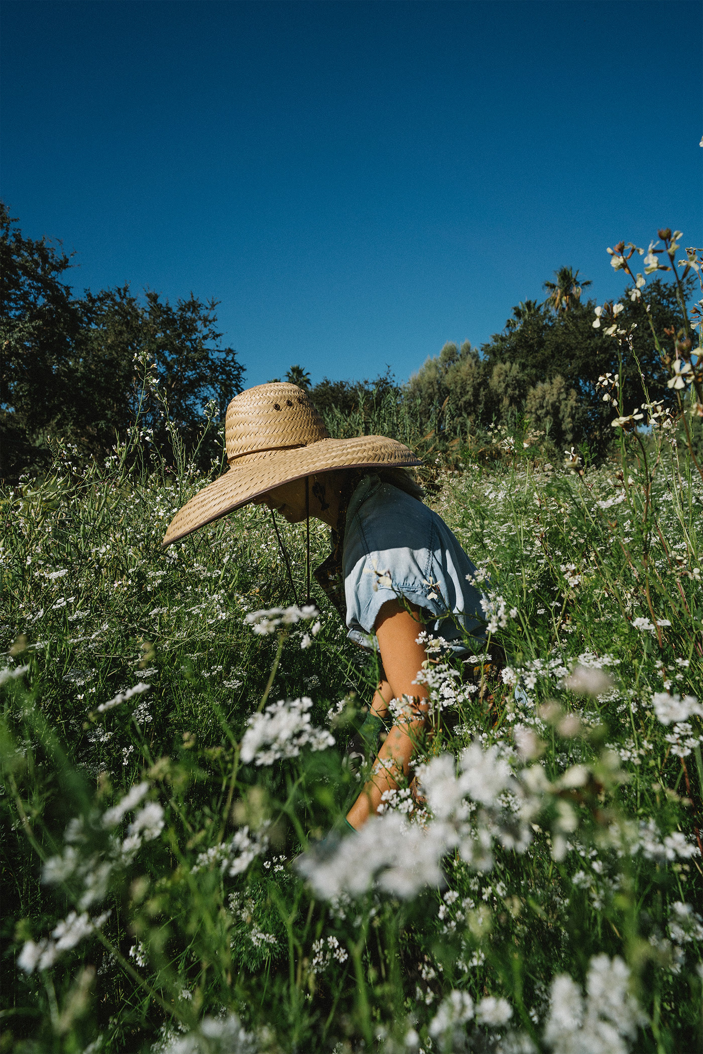 product design，skin care products，Peltan Bros，Brand design，