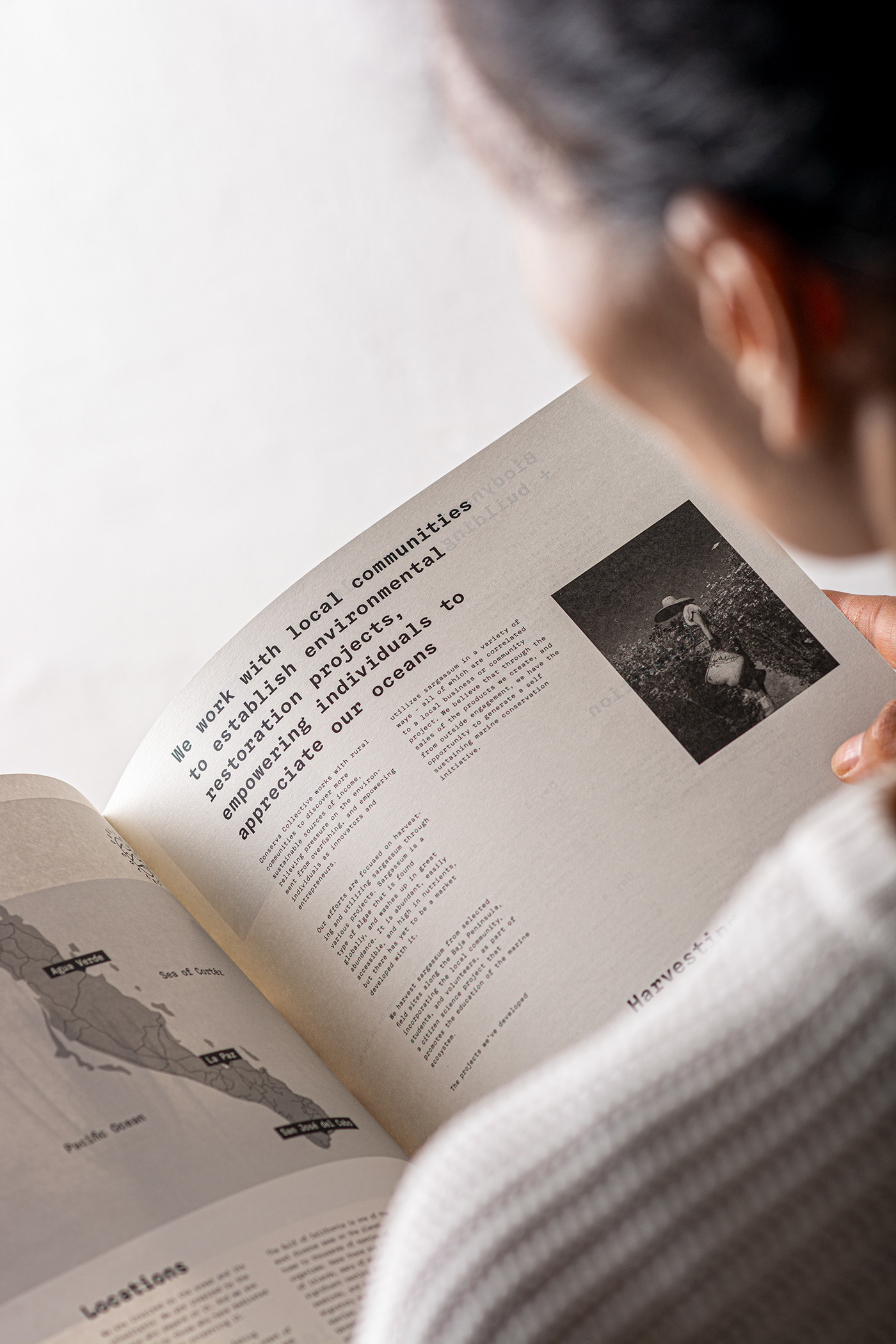 product design，skin care products，Peltan Bros，Brand design，