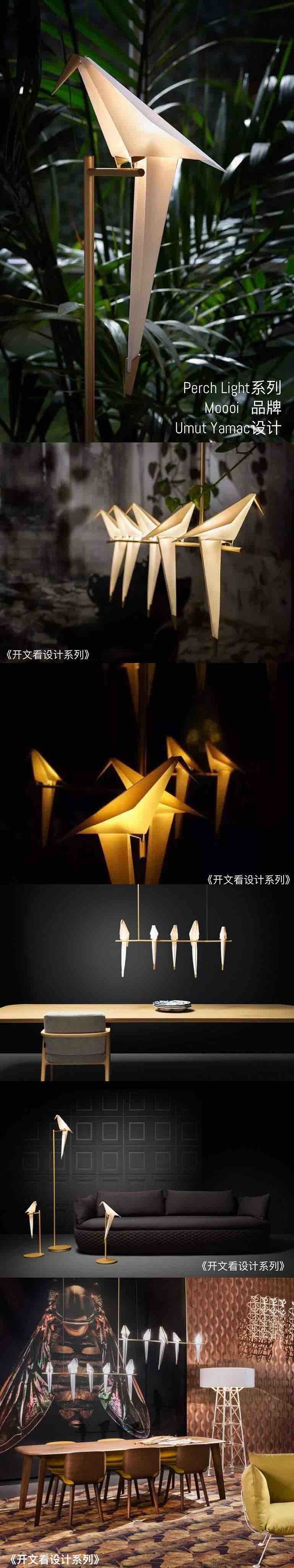 bird，poetic flavour，romantic，