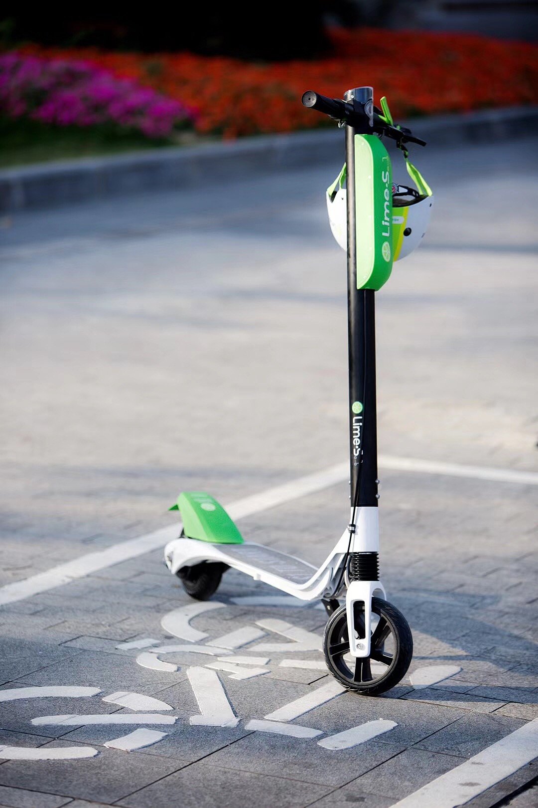 Scooter, shared, electric，