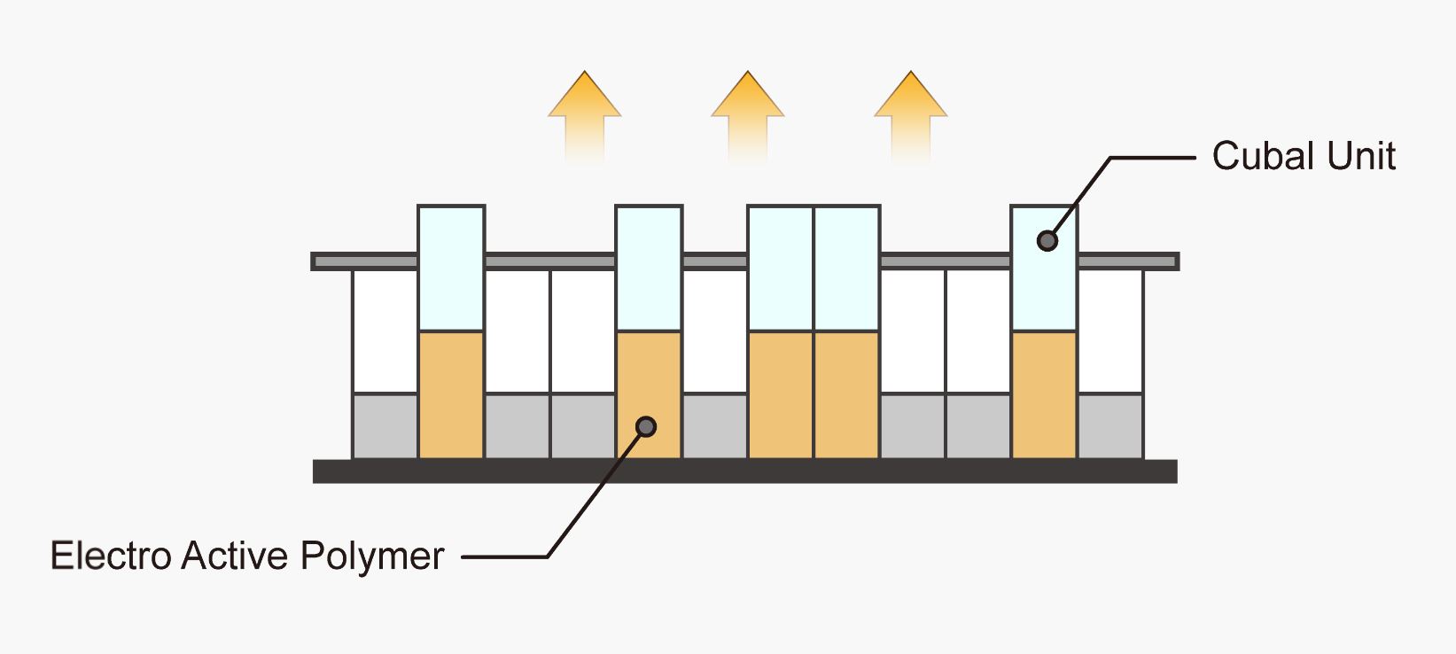 Educational tools，