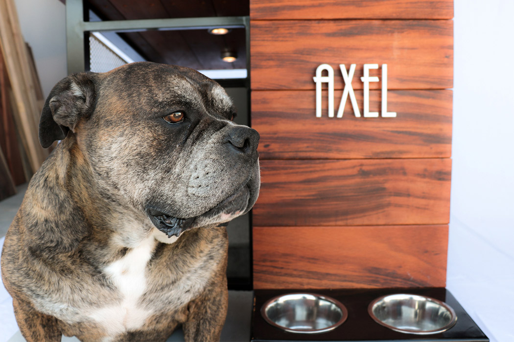 MKD9 Dog House，kennel，teak，