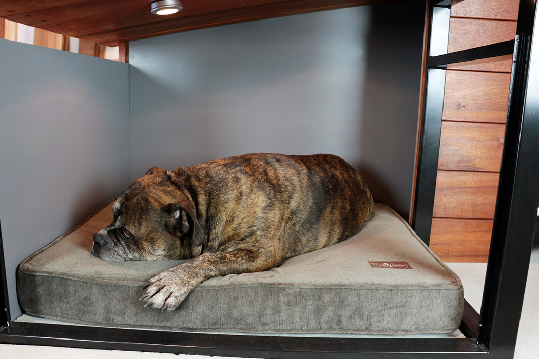 MKD9 Dog House，kennel，teak，