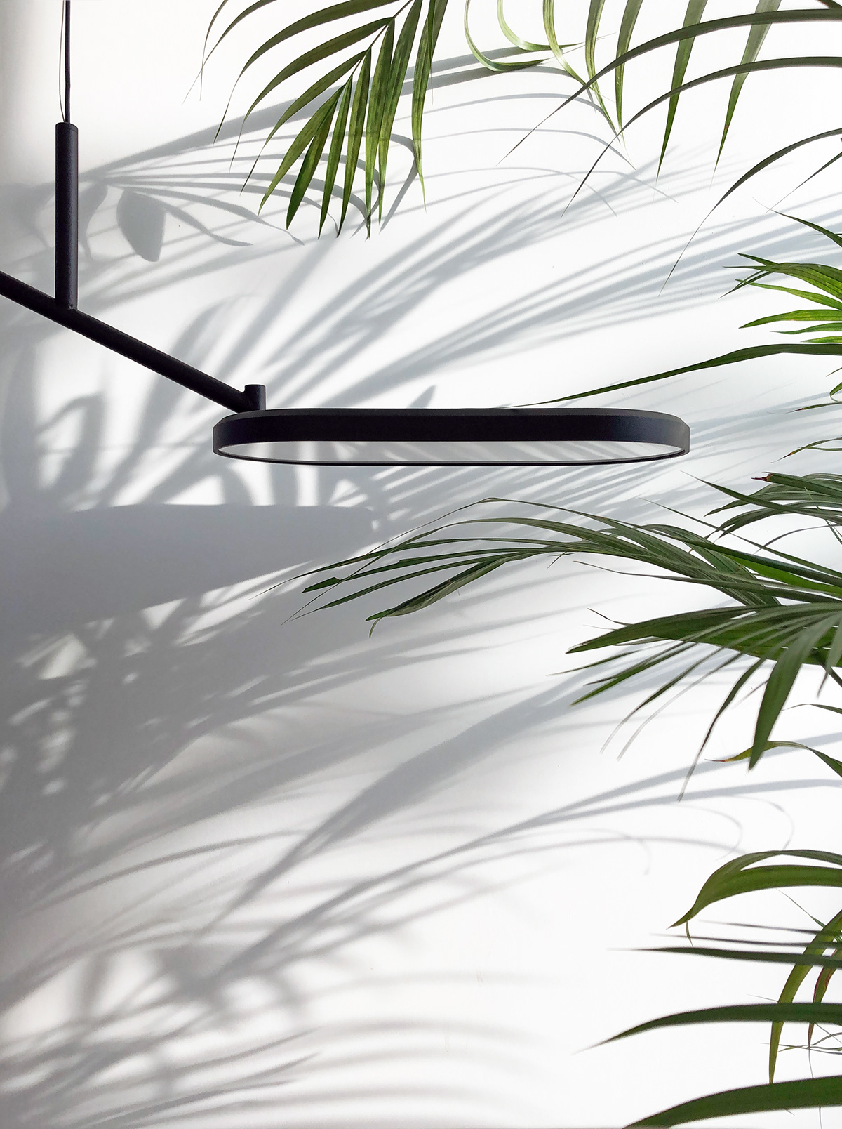 SVN studio，a chandelier，Lighting tools，furniture，