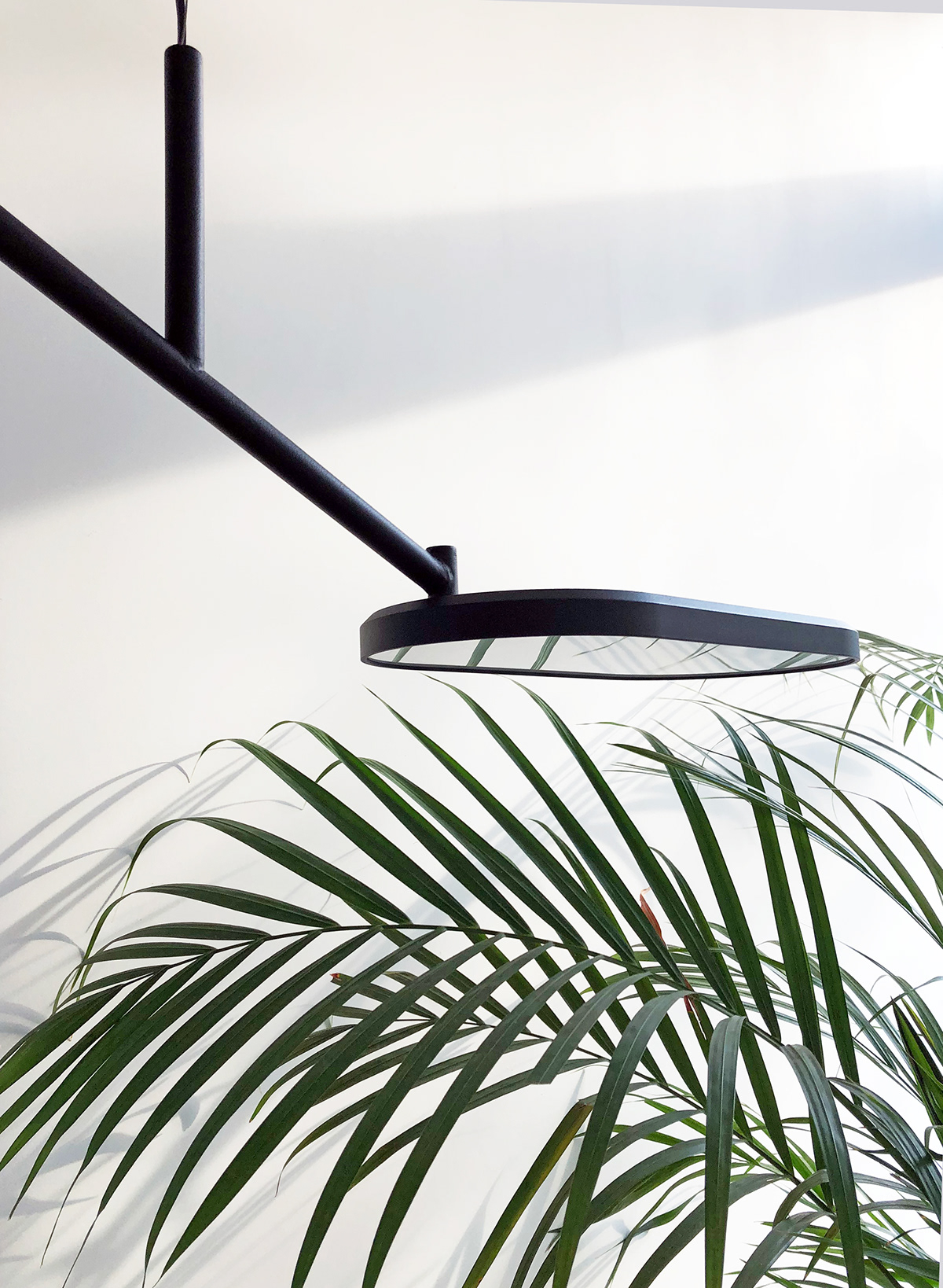 SVN studio，a chandelier，Lighting tools，furniture，