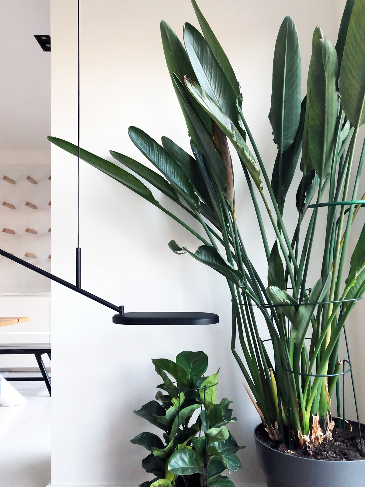 SVN studio，a chandelier，Lighting tools，furniture，