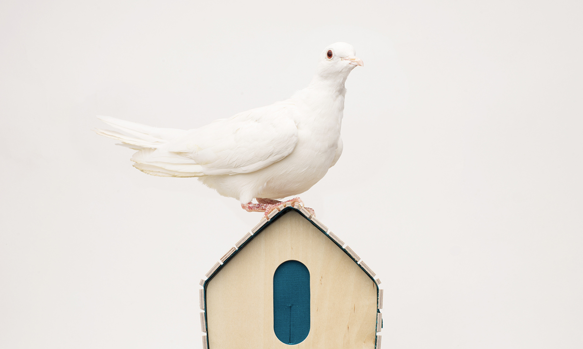 Piggy bank，Bird's nest，key，