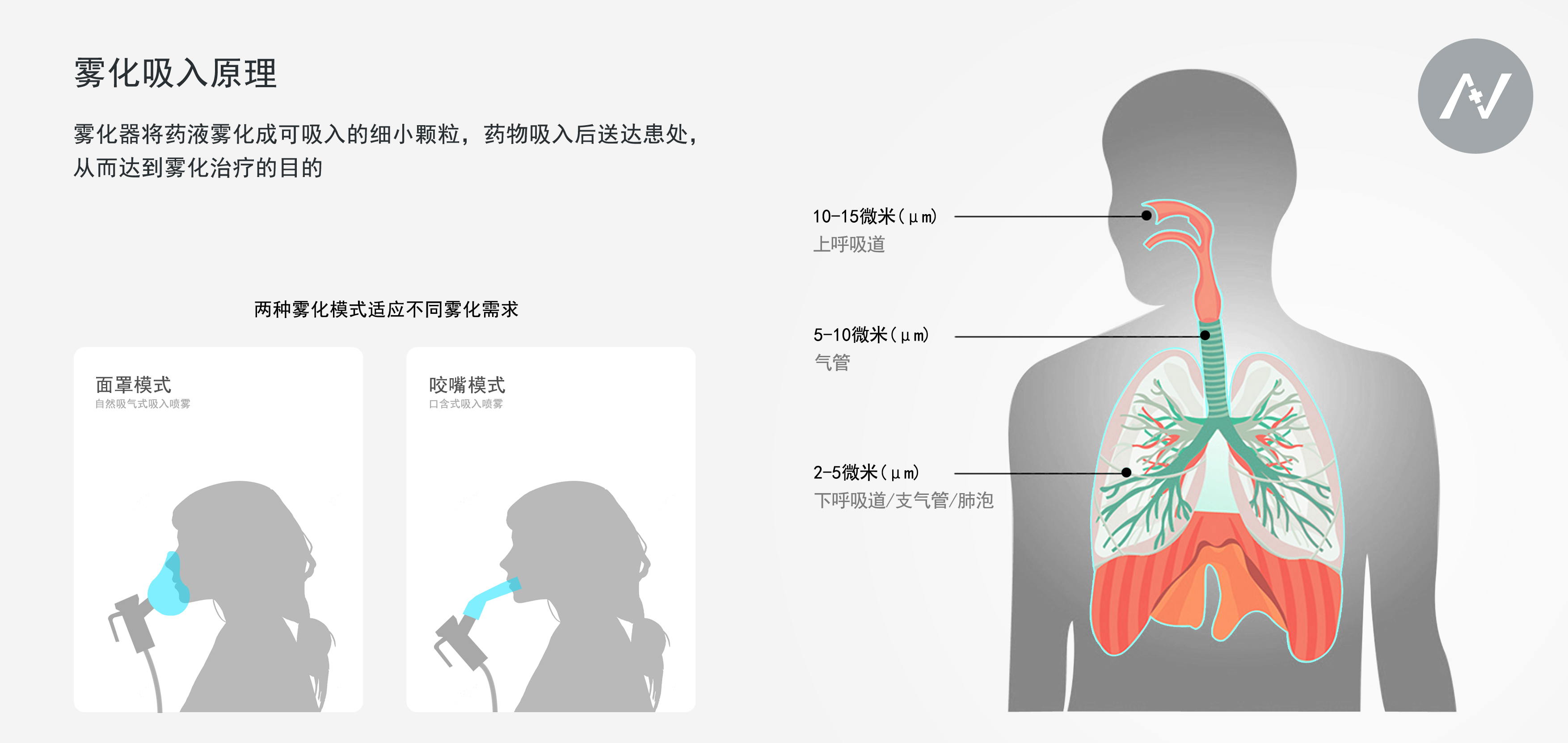 air compressed nebulizer 空气压缩式雾化器