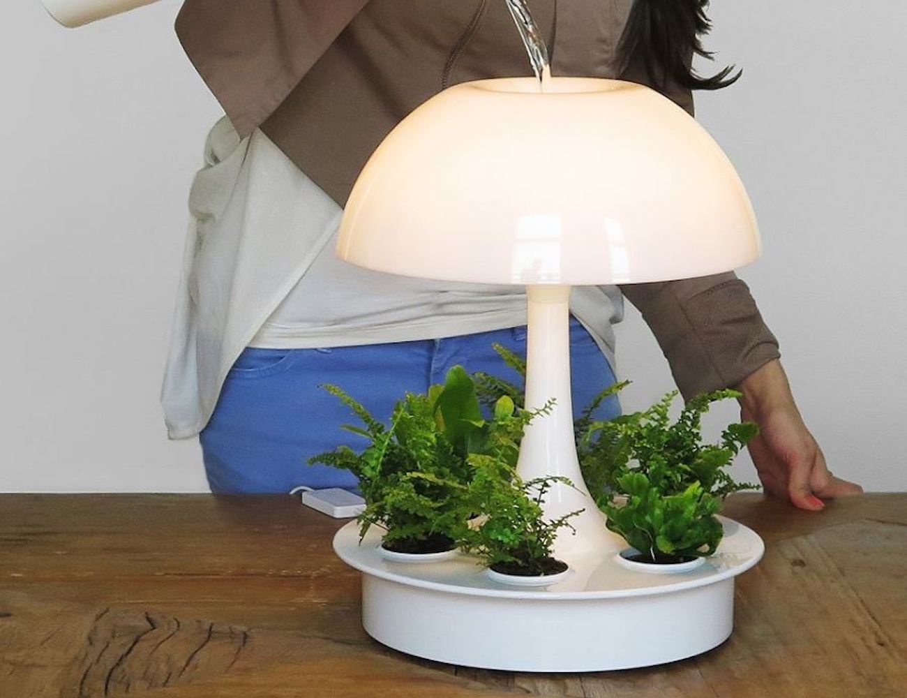 Sagegreenlife，Desk lamp，Green design，