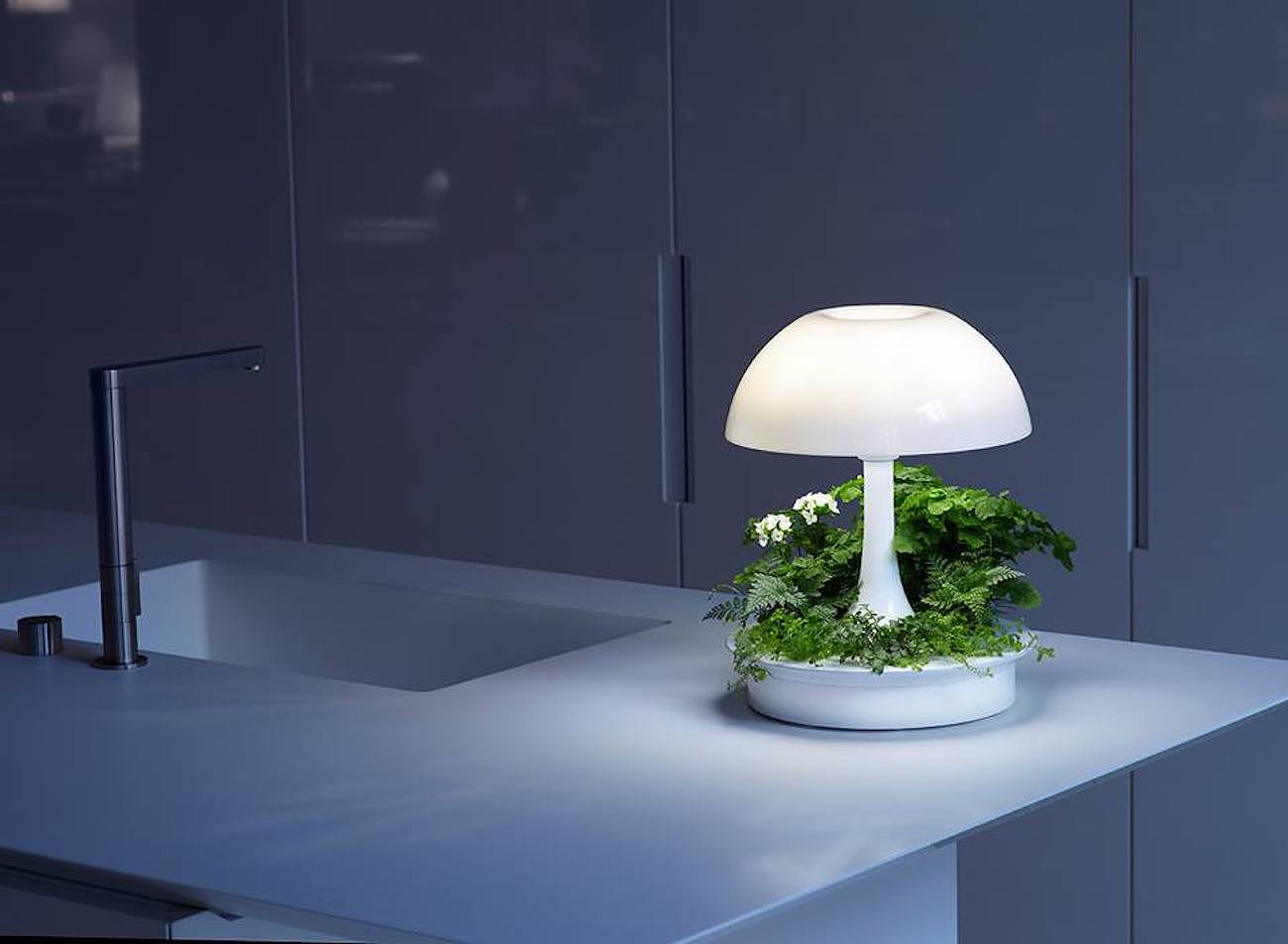 Sagegreenlife，Desk lamp，Green design，