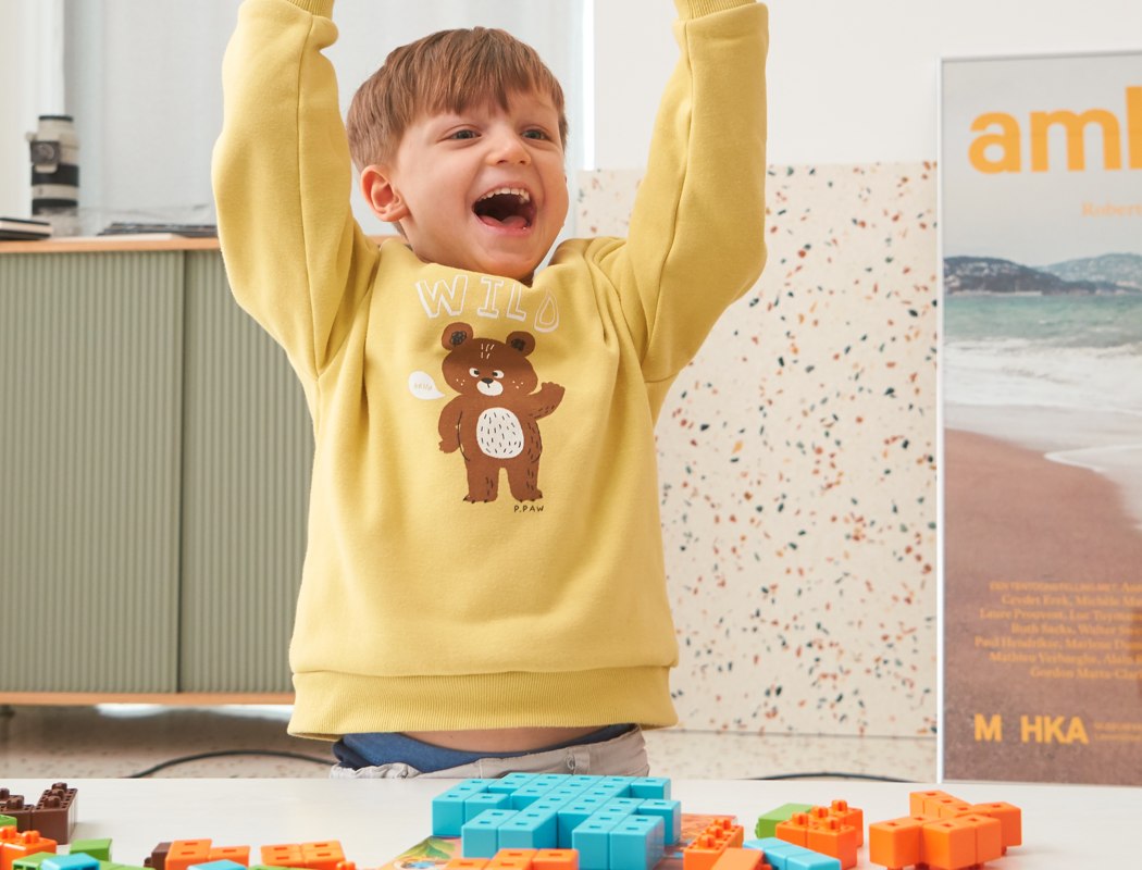 Toys，Puzzle，AniBlock，creative ability，