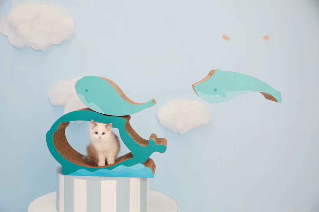 industrial design，Cat scratch board，Pet product design，