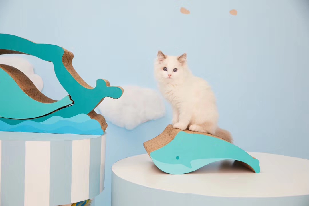 industrial design，Cat scratch board，Pet product design，