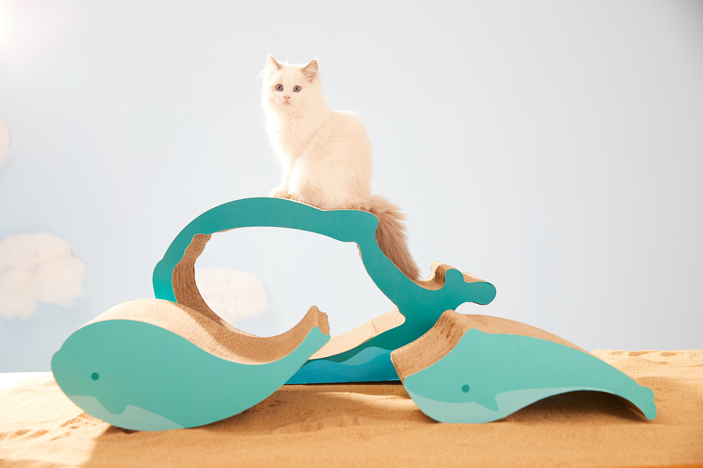 industrial design，Cat scratch board，Pet product design，