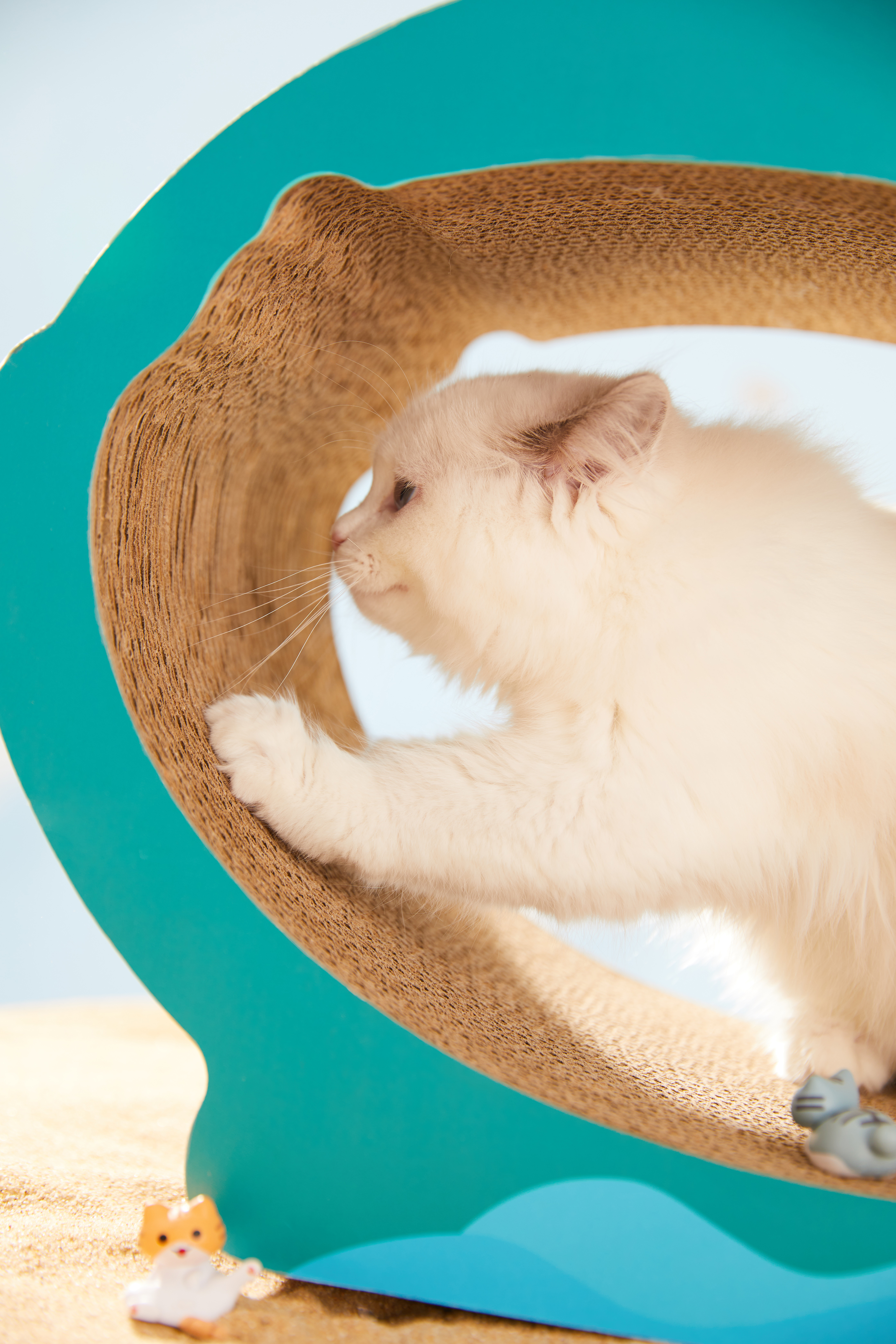 industrial design，Cat scratch board，Pet product design，