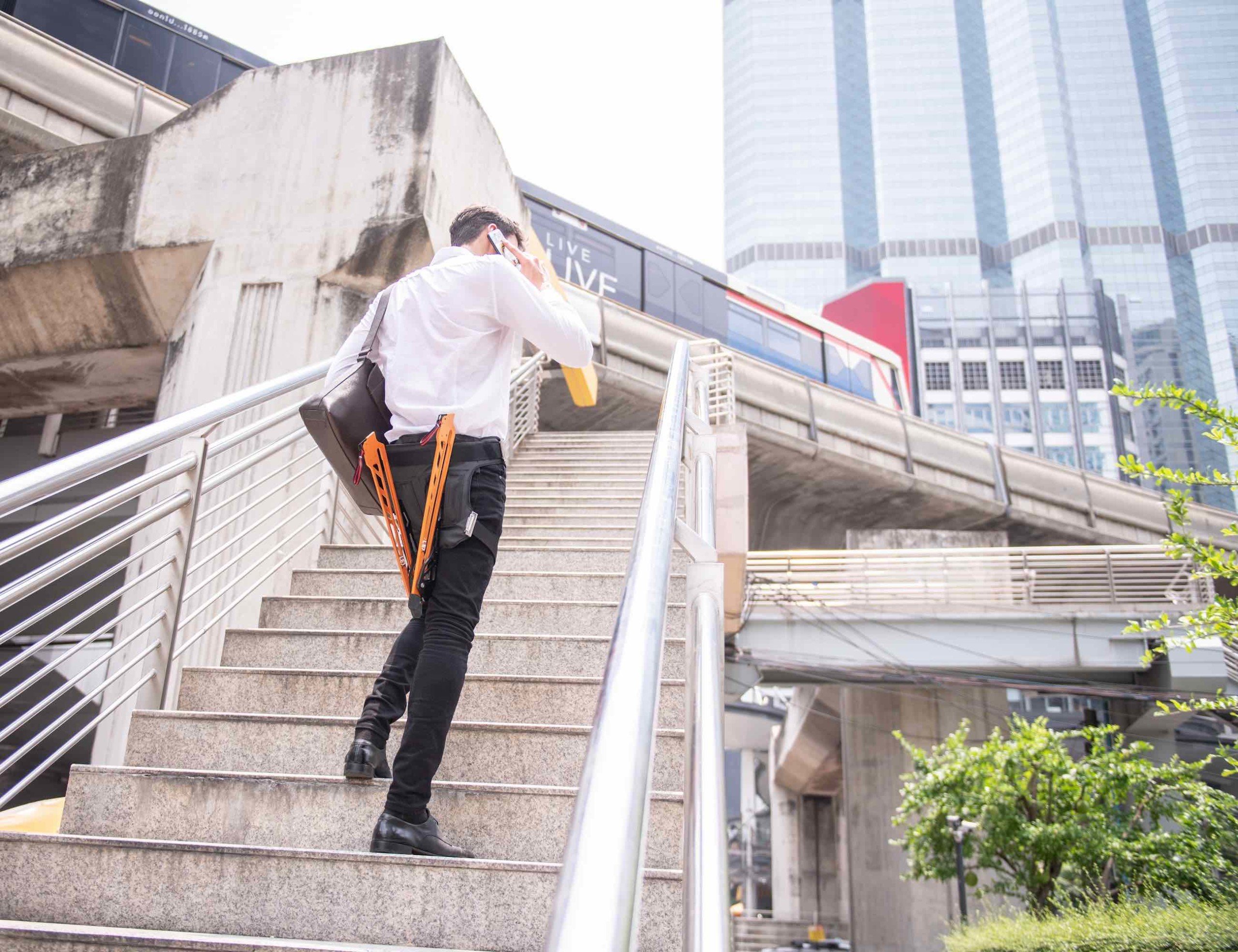 LEX，Bionic chair，Metal，