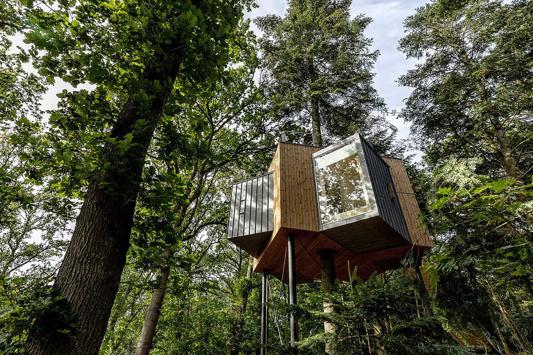 Tree House，log cabin，Architecture，industrial design，