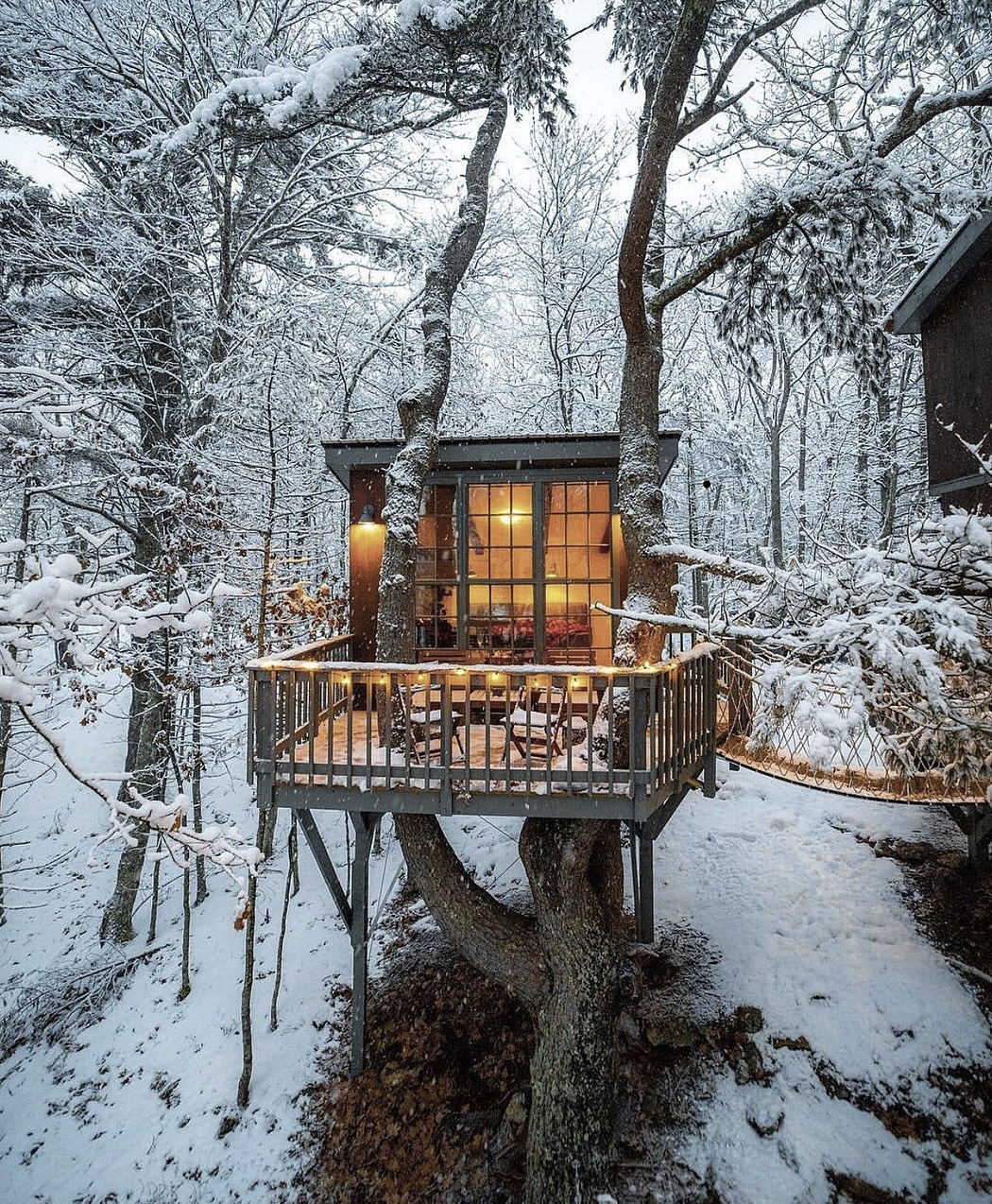 Tree House，log cabin，Architecture，industrial design，