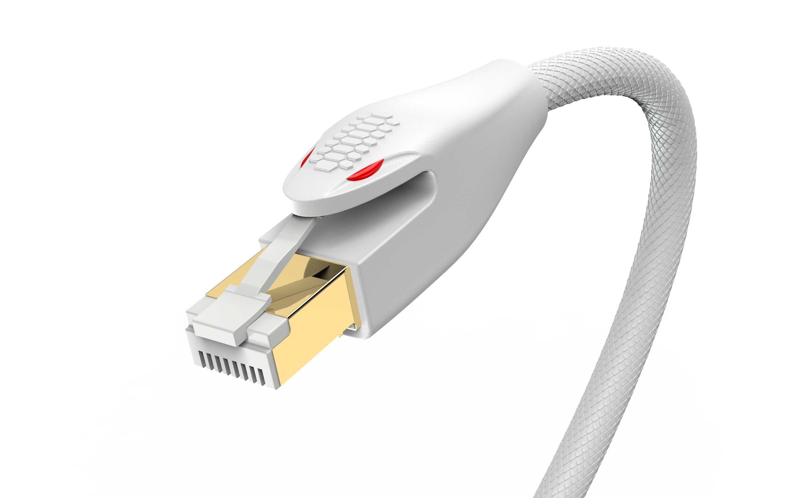 snake，Crazy Python，Network cable，rhino，keyshot，