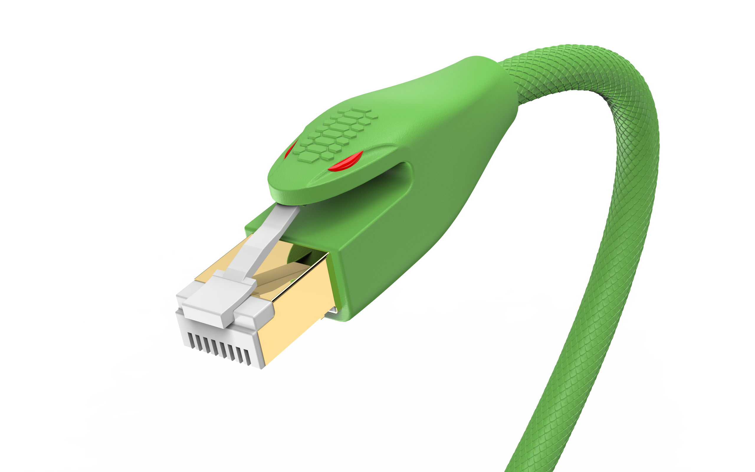 snake，Crazy Python，Network cable，rhino，keyshot，