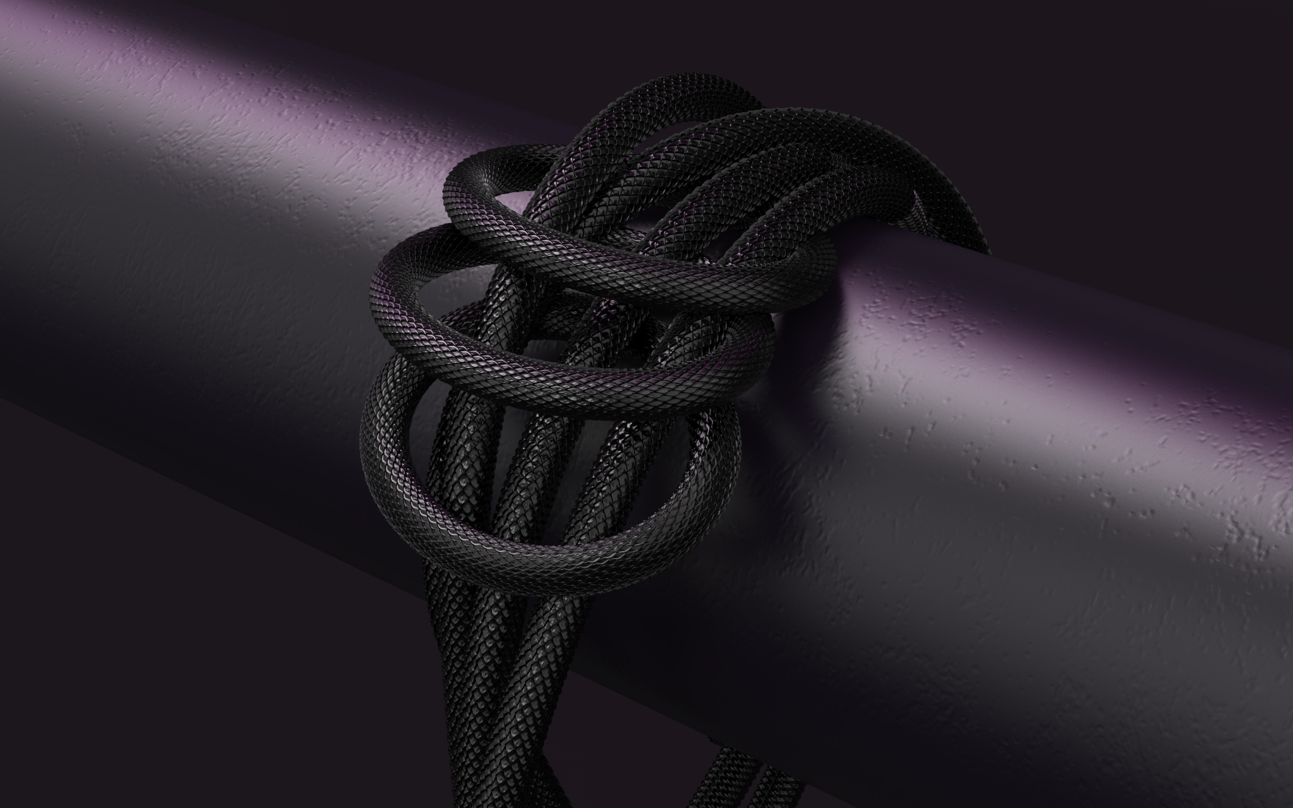 snake，Crazy Python，Network cable，rhino，keyshot，