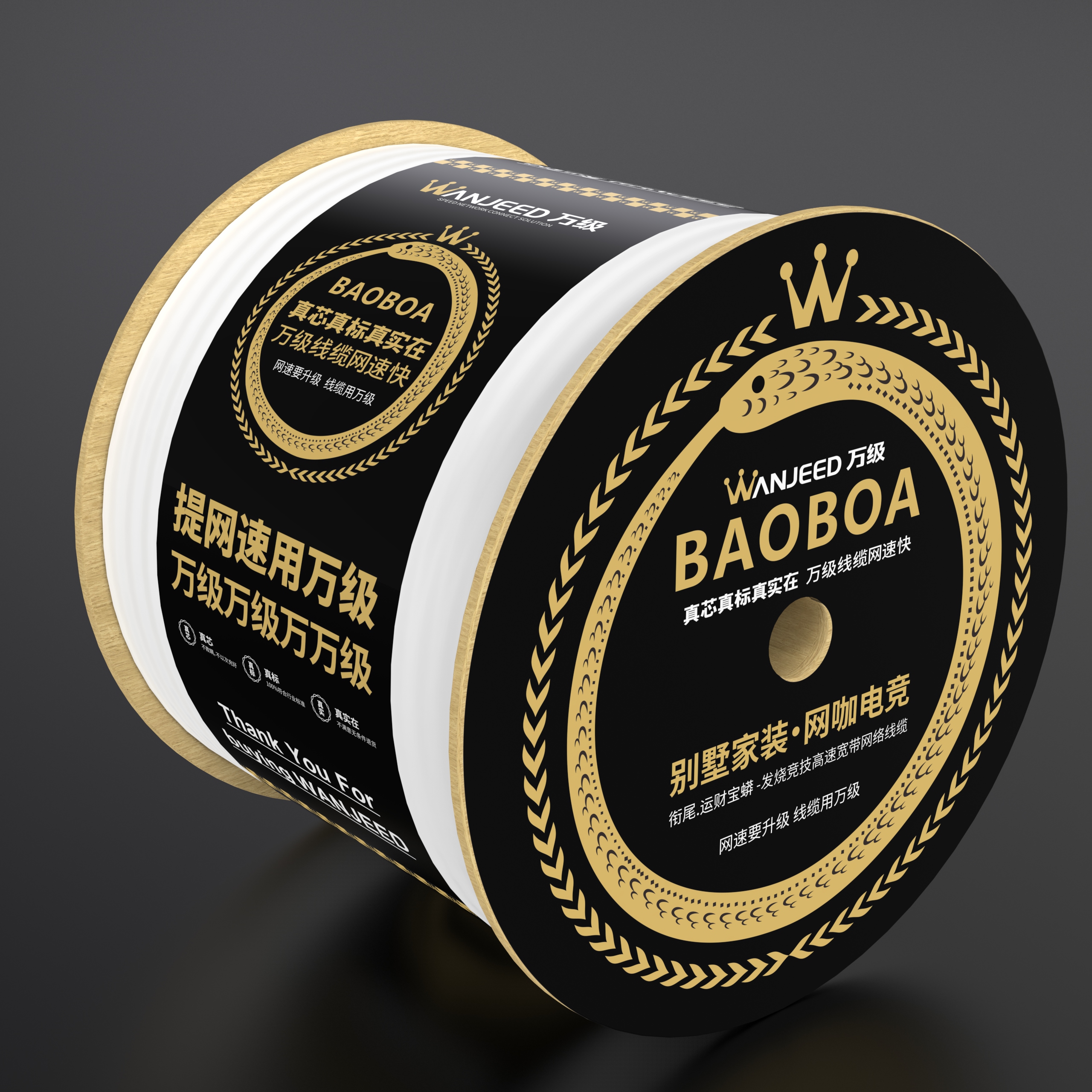 Network cable，network，Line，rhino，keyshot，