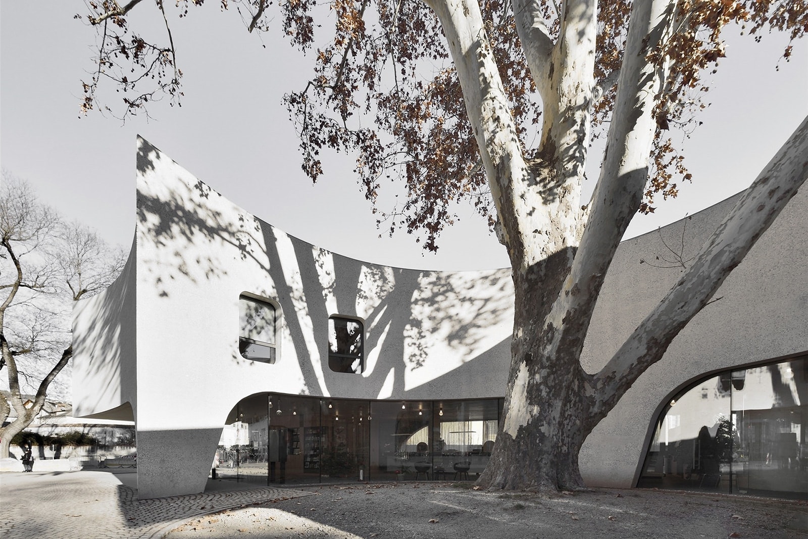 Office design，Architectural design，Tree Hugger，MoDus，