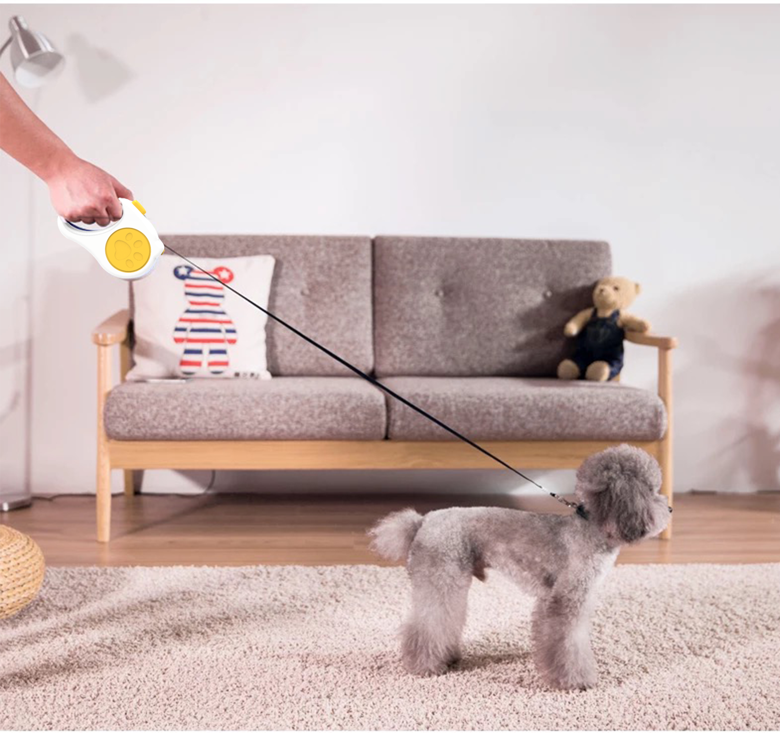 Pets, tractor, travel，