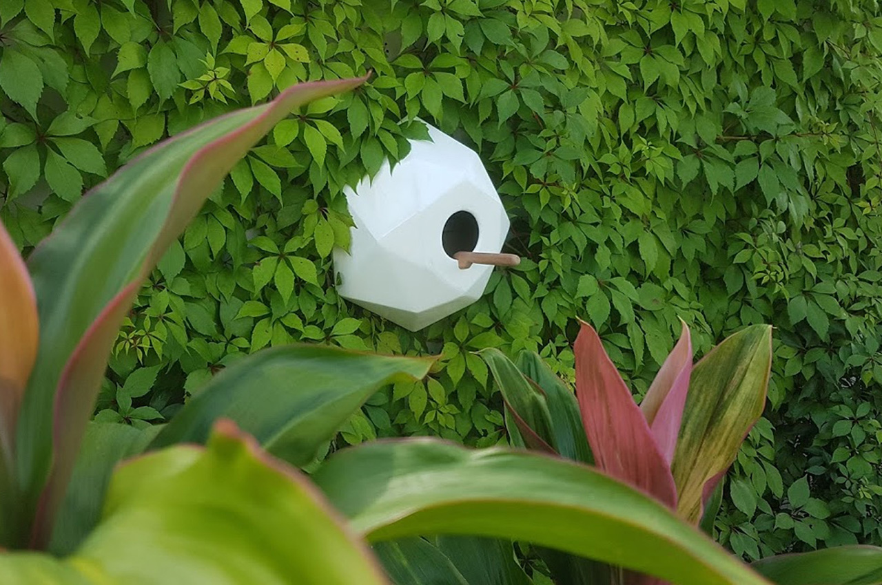 Move _Up，Bird's nest，environmental protection，Bird ecology，