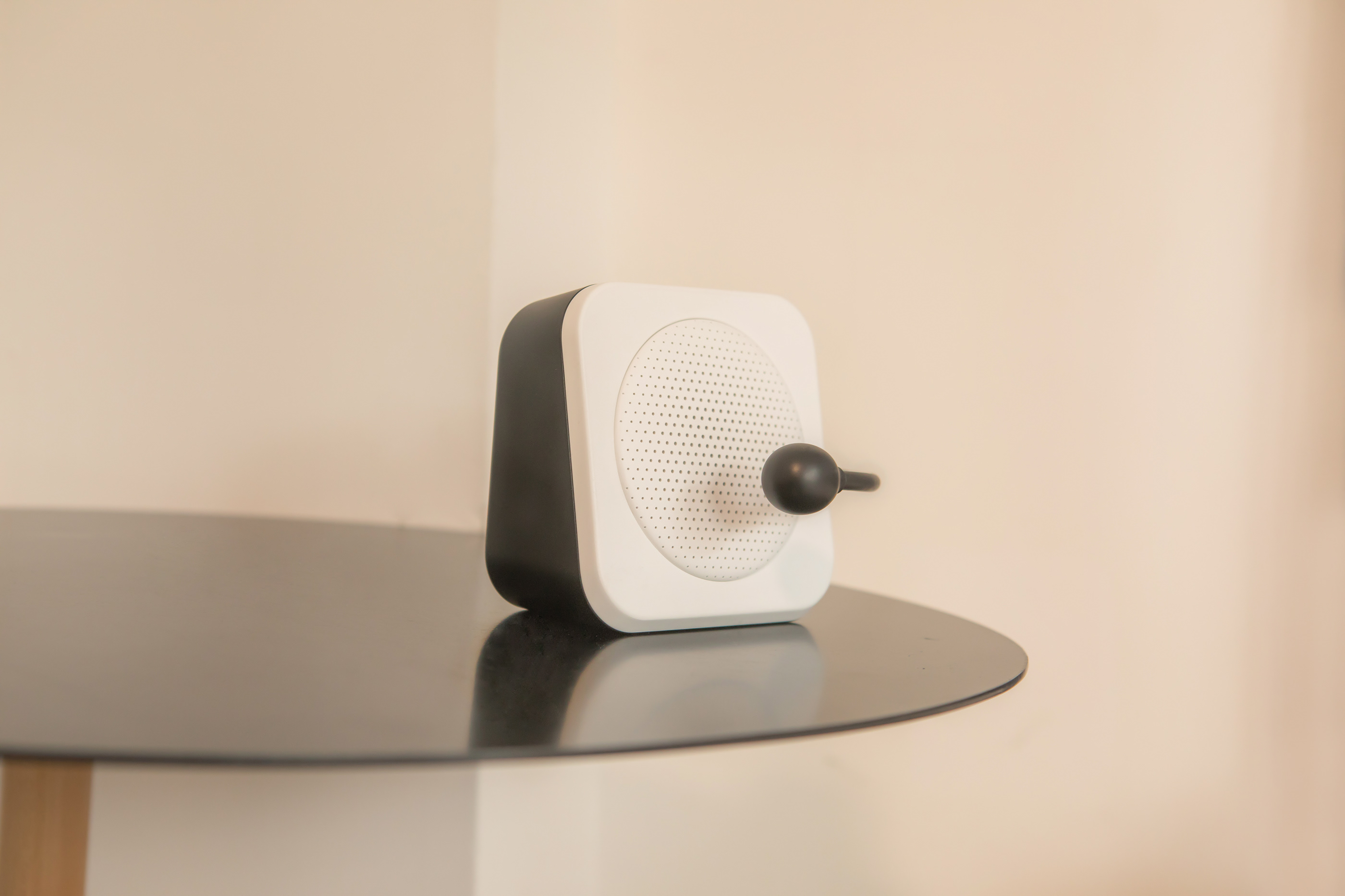 loudspeaker box，Sound reinforcement，Little bee，Bluetooth，