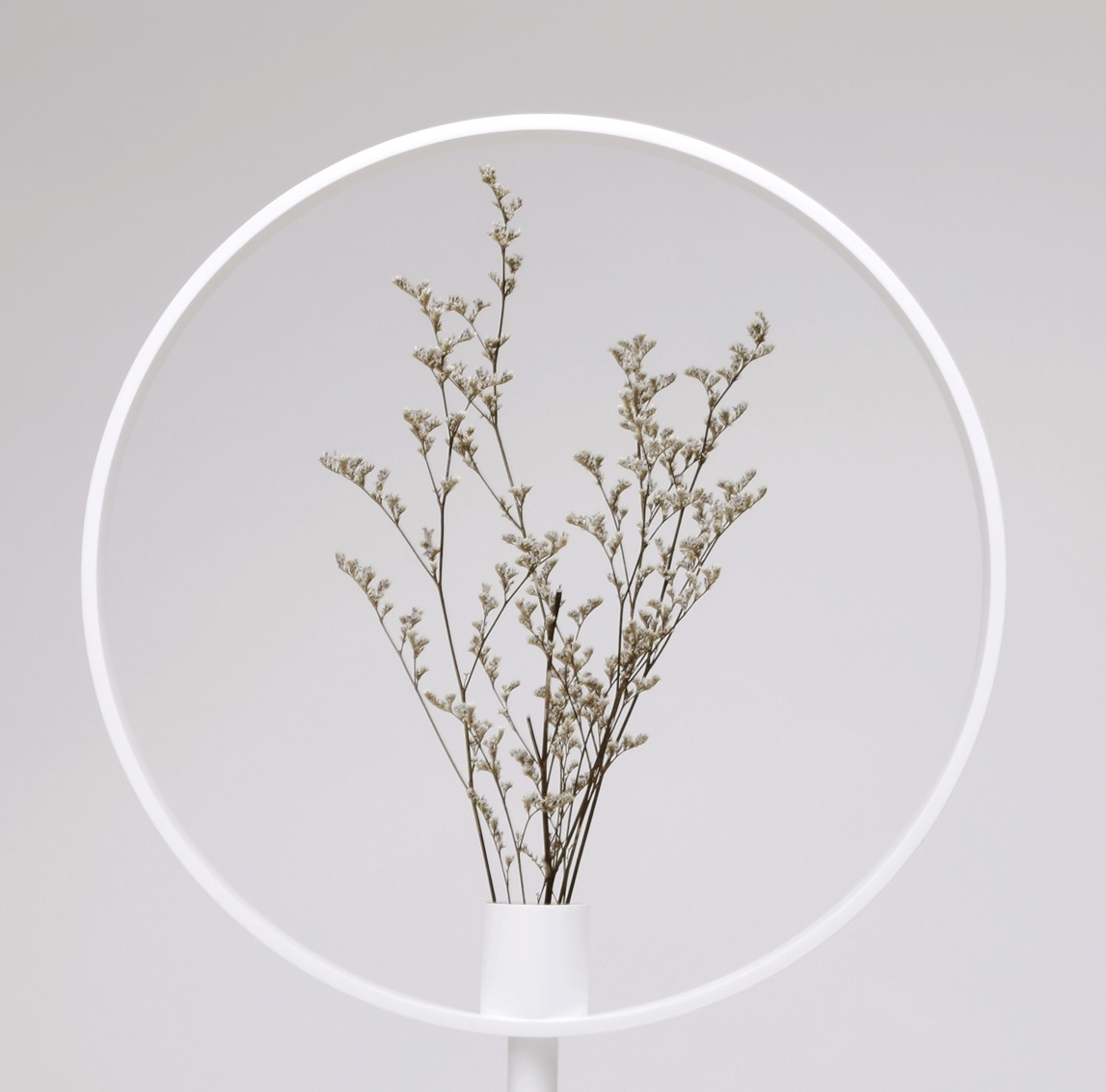 vase，magnifier，Optical illusion，Minimalist，