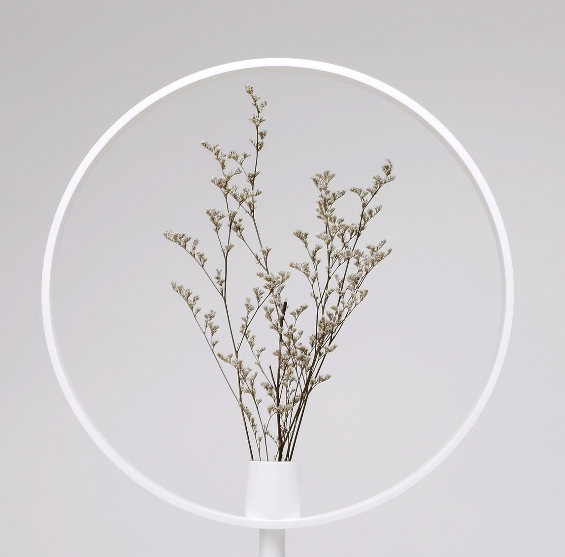 vase，magnifier，Optical illusion，Minimalist，