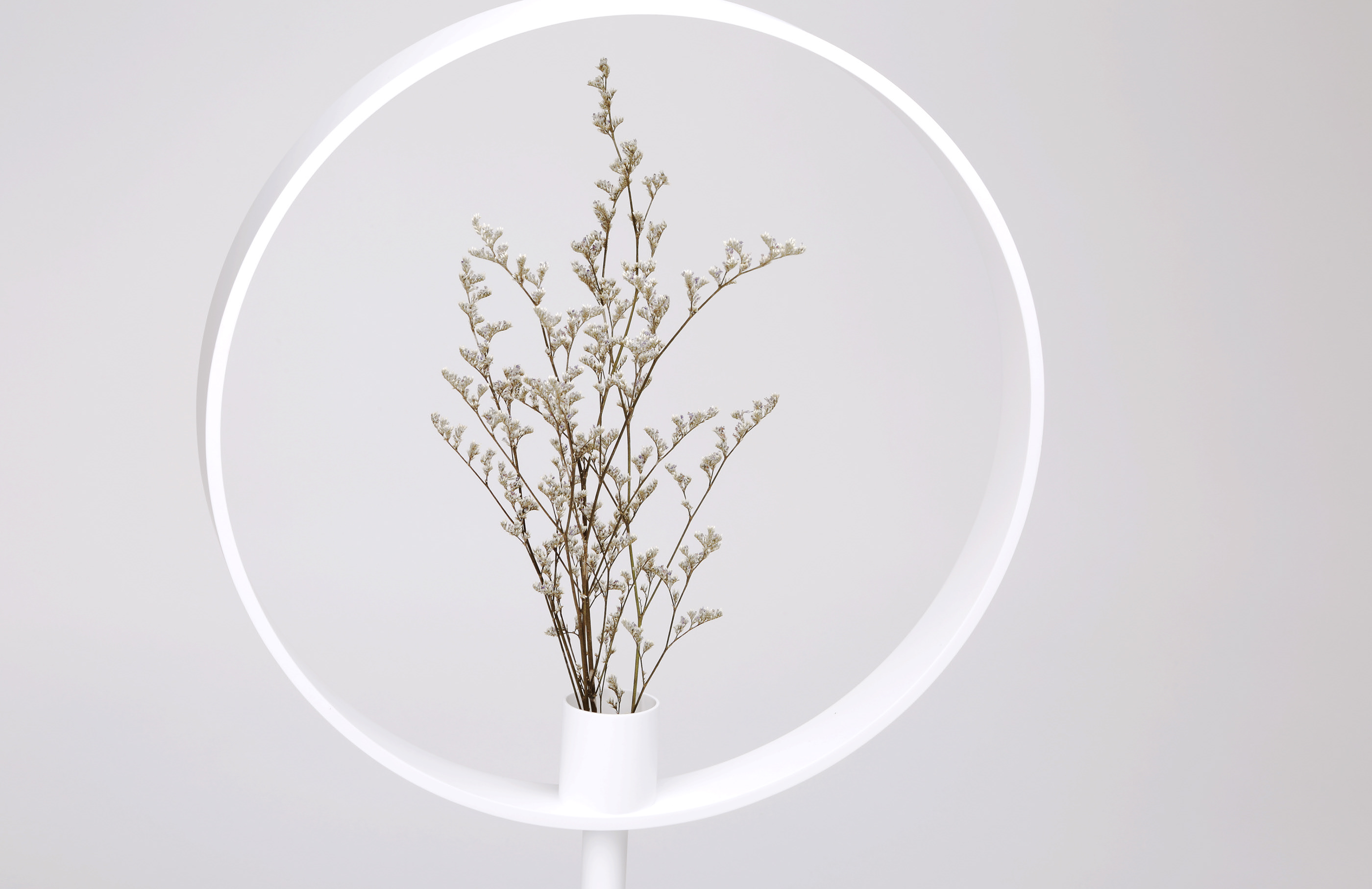 vase，magnifier，Optical illusion，Minimalist，