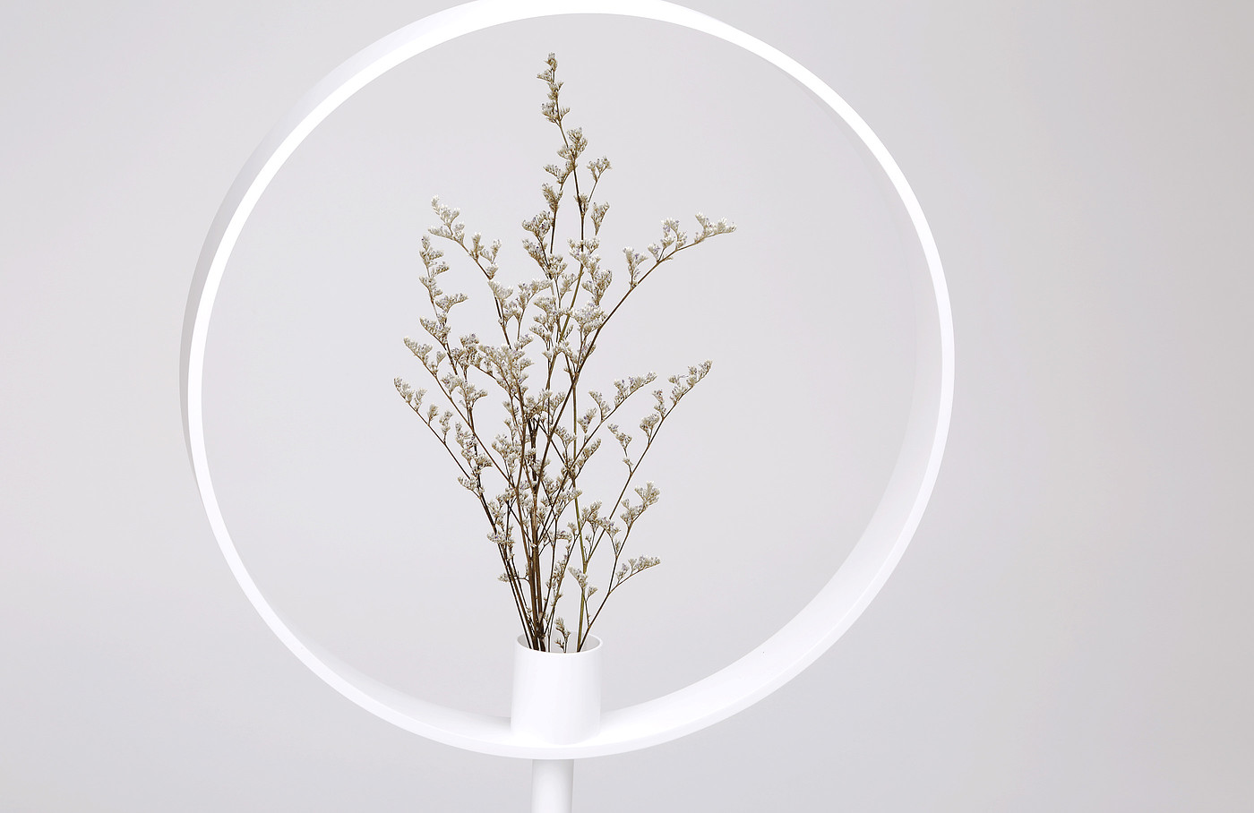 vase，magnifier，Optical illusion，Minimalist，