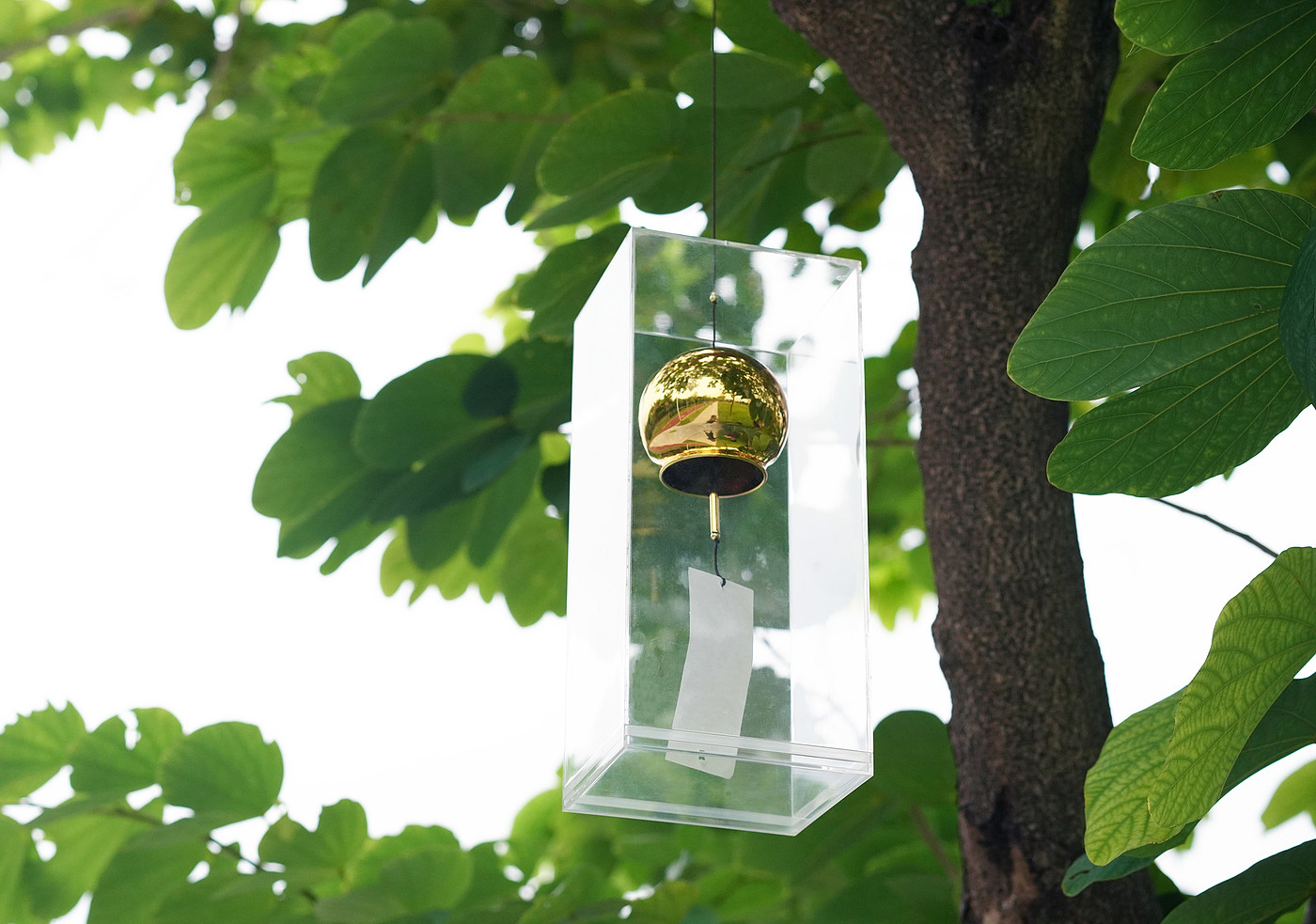 Wind chime，wind，perception，Cover，