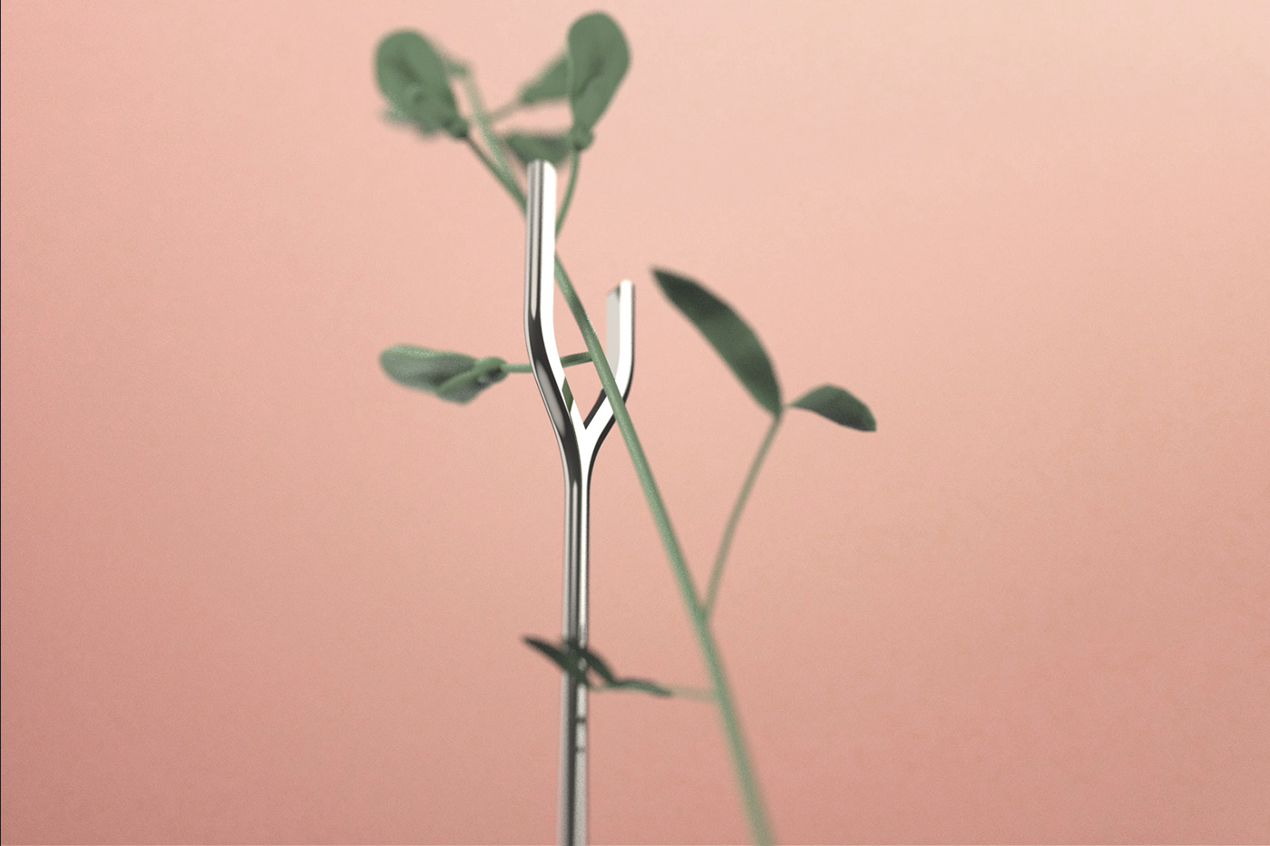 Ornaments，decorate，Botany，