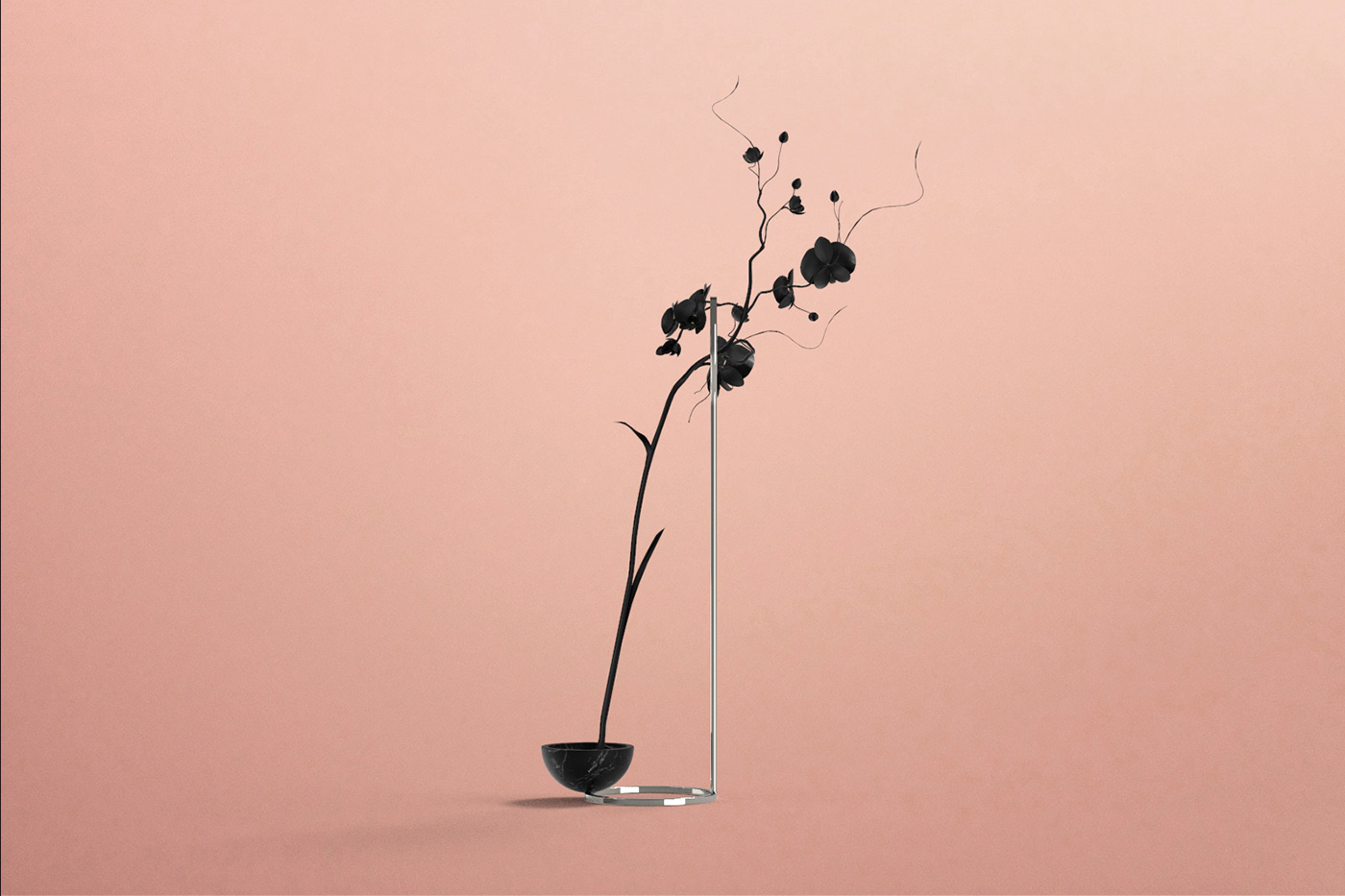 Ornaments，decorate，Botany，