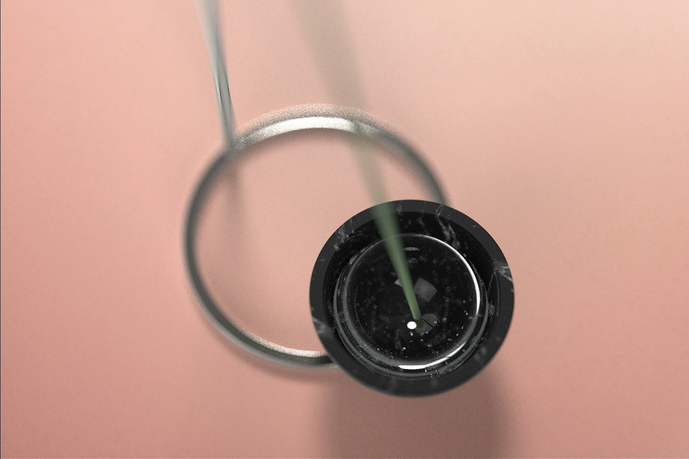 Ornaments，decorate，Botany，