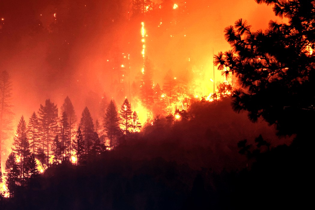 Mask，black，AusAir，