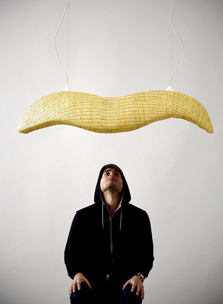 a chandelier，lamps and lanterns，peanut，