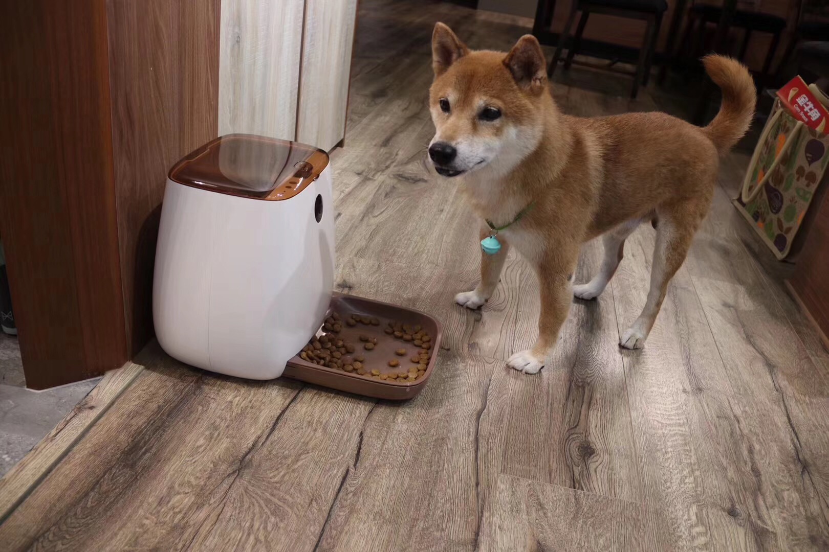 Pet feeder，Pet Supplies & Pet，Intelligent products，Gold standard design，Feeder structure，