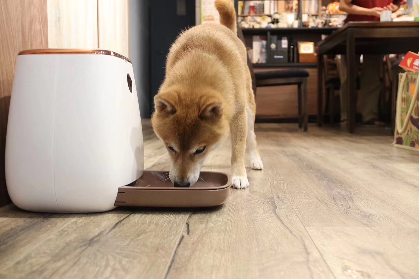 Pet feeder，Pet Supplies & Pet，Intelligent products，Gold standard design，Feeder structure，