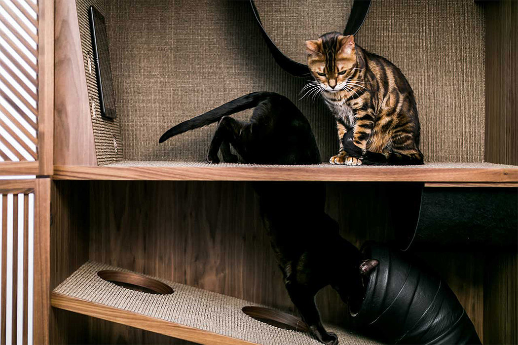 wooden ，cattery ，Cat Flat，