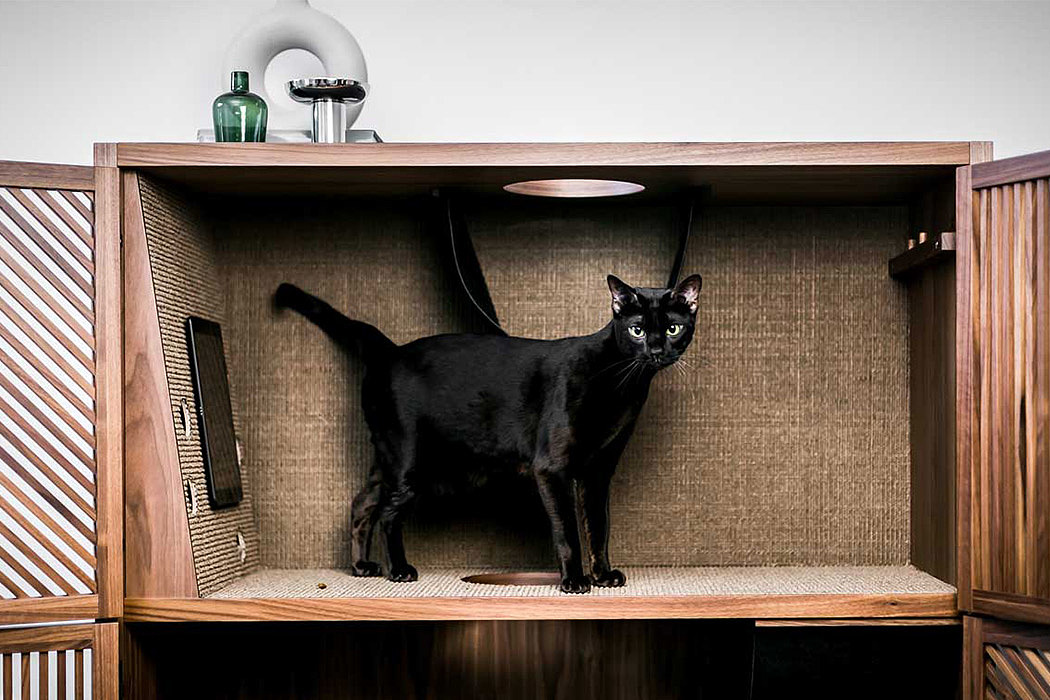 wooden ，cattery ，Cat Flat，